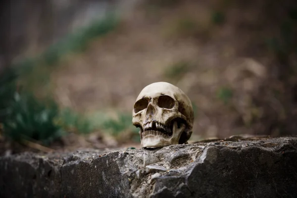 Crânio Homem Numa Grande Laje Pedra Cinzenta Uma Cópia Crânio — Fotografia de Stock