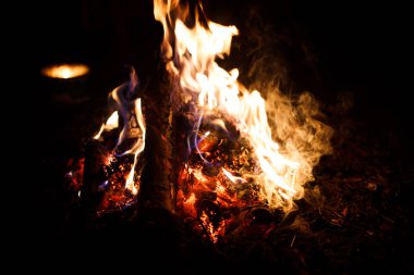Karanlıkta yangın ateşi yakın çekim. Bir kamp ateşi Turuncu alevler, yangında közler ve konileri