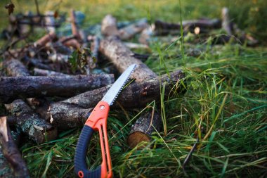 Küçük bir turist el kullanarak yürüyüş gördüm. Erkek el odun katlama testere turuncu testere