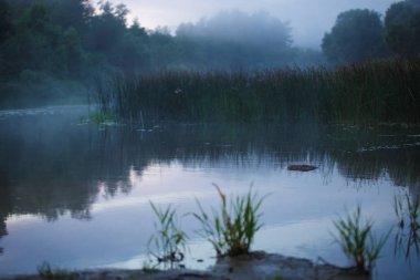 Akşam sisi nehir ve ormanın üzerinde sürünüyor. Gölde puslu yaz akşamı