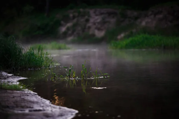 Niebla Vespertina Arrastra Sobre Río Bosque Tarde Verano Nebulosa Lago — Foto de Stock