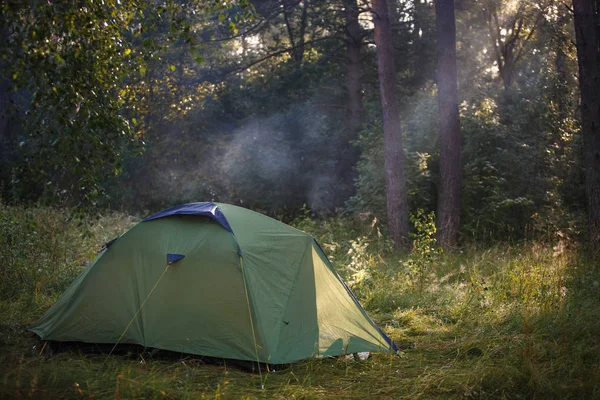 Wald Steht Ein Grünes Touristenzelt Das Von Lichtstrahlen Erhellt Wird — Stockfoto