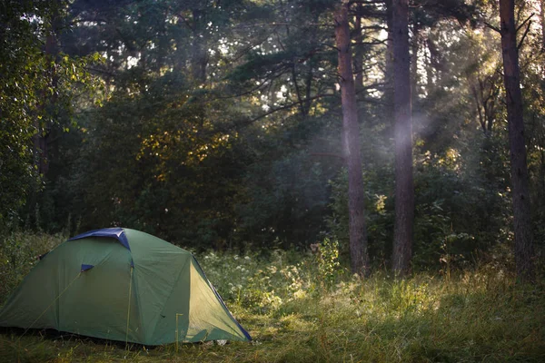 Green tourist tent stands in the woods, illuminated by rays of light. Established tent in the campaign.