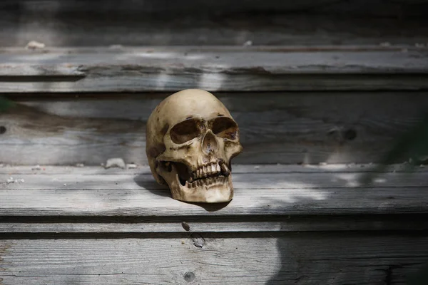 Skull Man Lying Steps Old Wooden Staircase Illuminated Light Horrors — Φωτογραφία Αρχείου