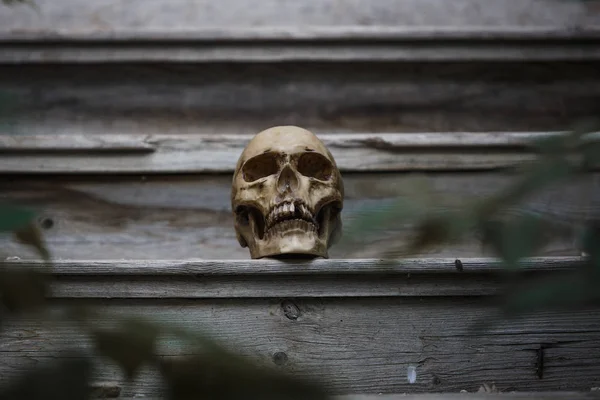 Crânio Homem Deitado Nos Degraus Uma Velha Escada Madeira Iluminada — Fotografia de Stock