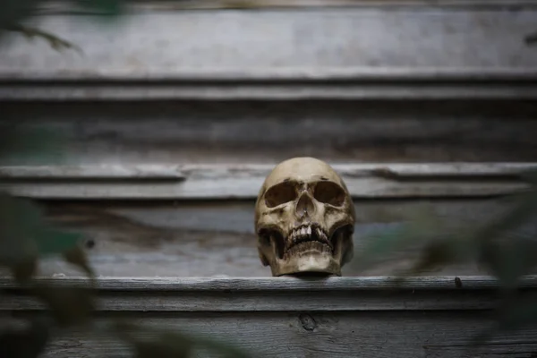 Skull Man Lying Steps Old Wooden Staircase Illuminated Light Horrors — Φωτογραφία Αρχείου