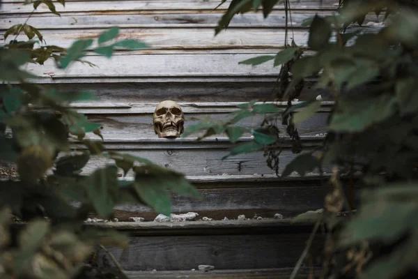 Skull Man Lying Steps Old Wooden Staircase Illuminated Light Horrors — Stok fotoğraf