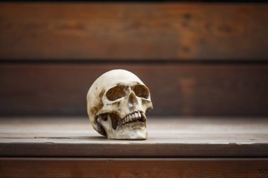 Ahşap arka planda bir insan kafatası yumuşak ışıkla aydınlatılır. Cadılar Bayramı kartpostal düzeni