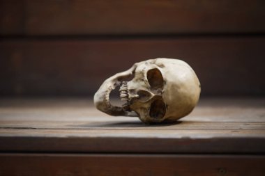 Ahşap arka planda bir insan kafatası yumuşak ışıkla aydınlatılır. Cadılar Bayramı kartpostal düzeni