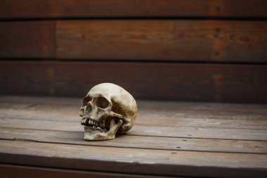 Ahşap arka planda bir insan kafatası yumuşak ışıkla aydınlatılır. Cadılar Bayramı kartpostal düzeni