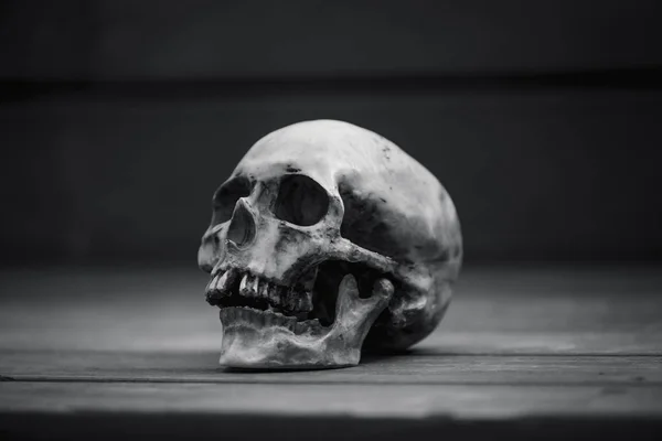 Human Skull Wooden Background Illuminated Soft Light Halloween Postcard Layout — Stock Photo, Image