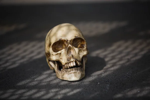 美しい光の影のパターンで金属の階段の下に人間の頭蓋骨 影とぼかしの中の頭蓋骨 ハロウィーンの恐怖 — ストック写真