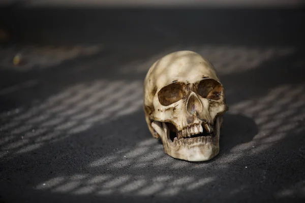 Crânio Humano Debaixo Uma Escada Metal Num Belo Padrão Sombra — Fotografia de Stock