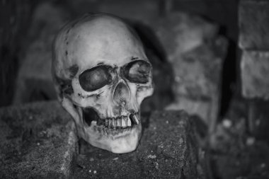 Karanlık bodrumdaki kafatası sert ışıkla aydınlatılır. Cadılar Bayramı için bir kafatasının çizimi berbat..