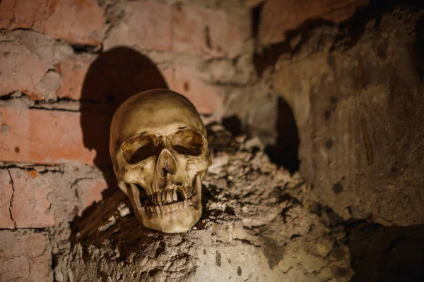 Skull Dark Basement Illuminated Harsh Light Terrible Picture Layout Skull — Stock Photo, Image