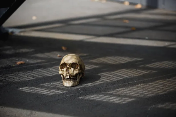 Crânio Humano Debaixo Uma Escada Metal Num Belo Padrão Sombra — Fotografia de Stock