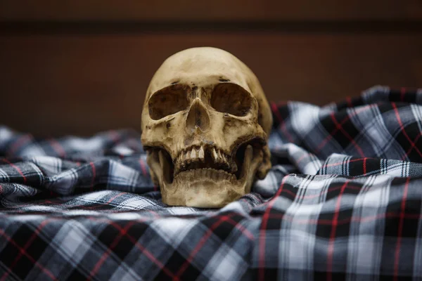 Cráneo Humano Cuadros Cuadros Negro Blanco Rojo Calavera Sobre Fondo —  Fotos de Stock