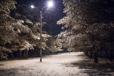 Akşamları kar yağışı altında karlı ladin ormanları. İnsanlar ve kayakçılar akşam ışıklarıyla aydınlanan karla kaplı sokakta yürürler, fenerin ışığında kar parlar..