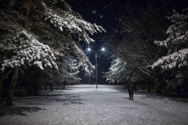 Akşamları kar yağışı altında karlı ladin ormanları. İnsanlar ve kayakçılar akşam ışıklarıyla aydınlanan karla kaplı sokakta yürürler, fenerin ışığında kar parlar..