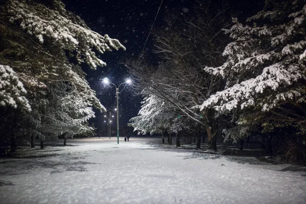 Sneeuwsparren Bos Avond Sneeuw Mensen Skiërs Wandelen Langs Besneeuwde Steeg — Stockfoto