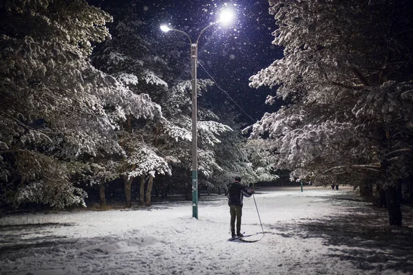 Snowy spruce forest in the evening in the snowfall. People and skiers walk along the snow-covered alley, lit by evening lights, the snow sparkles in the light of the lantern.