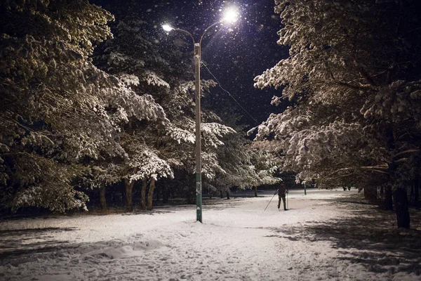 Sneeuwsparren Bos Avond Sneeuw Mensen Skiërs Wandelen Langs Besneeuwde Steeg — Stockfoto