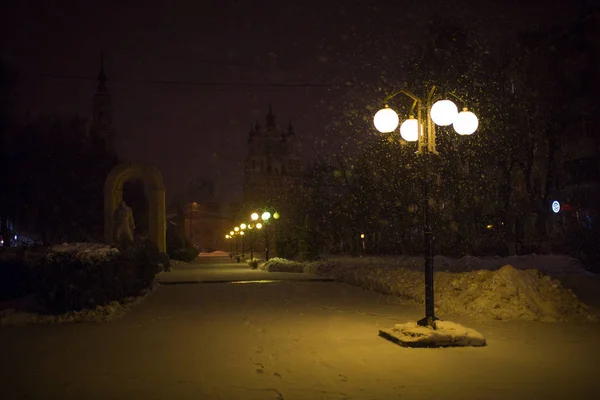 Świąteczne Lampki Świąteczne Wieczornego Parku Miejskiego Snowfall Zimowy Wieczór Alejce — Zdjęcie stockowe