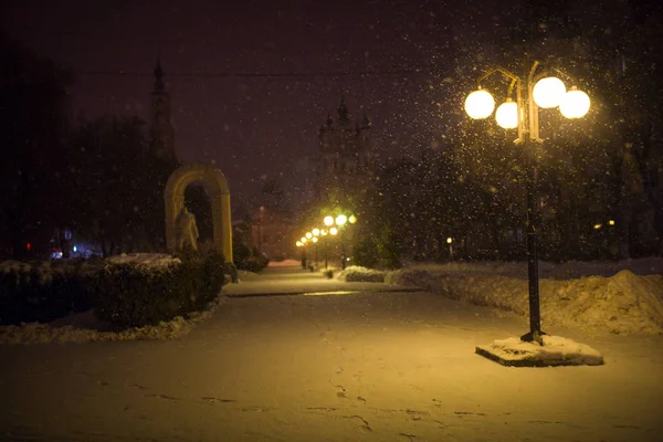 Feestelijke Kerstverlichting Van Het Avondstadspark Sneeuwval Winteravond Steeg Het Licht — Stockfoto