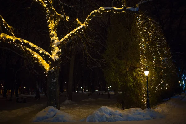 Feestelijke Kerstverlichting Van Het Avondstadspark Sneeuwval Winteravond Steeg Het Licht — Stockfoto