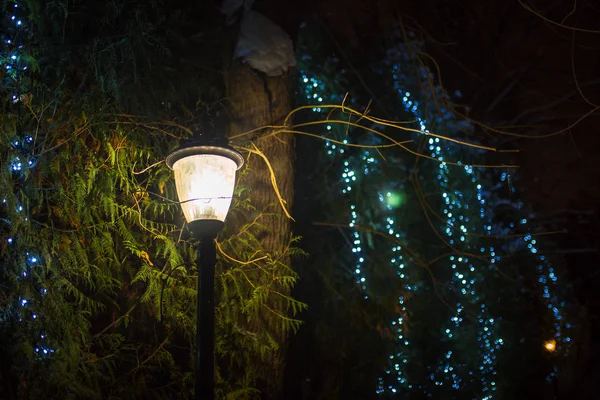 Праздничные Рождественские Огни Вечернего Городского Парка Снежный Зимний Вечер Улице — стоковое фото