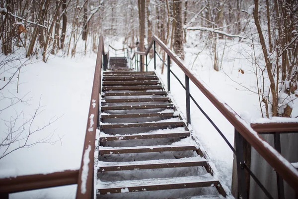A long wooden staircase in a snow-covered forest. Wooden geometric railing, steps up, brown staircase in white snow.