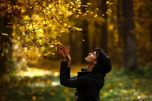 Ženské Nohy Žlutých Kalhotách Stezce Podzimním Lese Pozadí Žlutě Padajícího — Stock fotografie