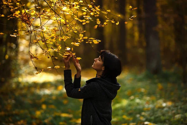 Ženské Nohy Žlutých Kalhotách Stezce Podzimním Lese Pozadí Žlutě Padajícího — Stock fotografie
