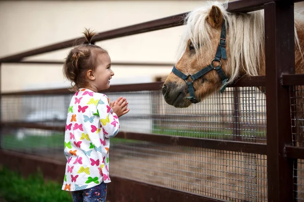 A little girl of Caucasian appearance enjoys a pony horse in a stable on a farm. Happy child, communication with animals, zoo, emotions. Space for text