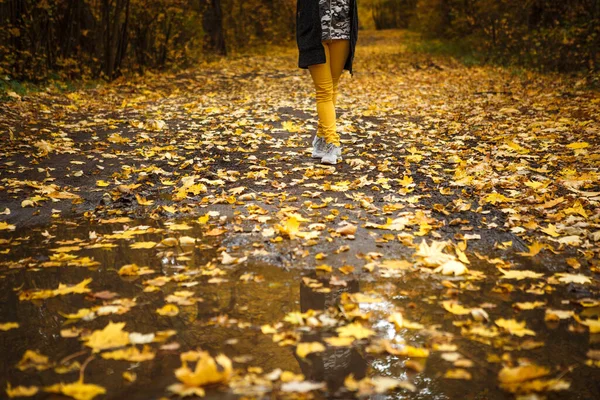 Damesbenen Gele Broek Een Pad Het Herfstbos Tegen Achtergrond Van — Stockfoto