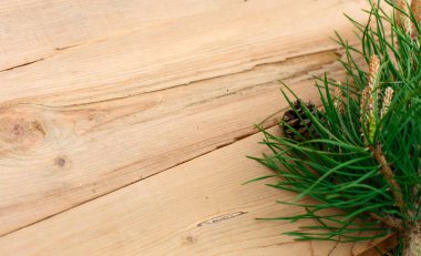 Kırsal ahşap arka planda noel artığı: yeşil kozalaklı çam iğneleri. Yeni yıl konsepti, kış tatili ev konforu. Doğal stil, çevre dostu yaşam tarzı. Metin için boşluk, düzenle