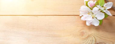 Ahşap bir arka planda beyaz elma çiçekleri ve taç yaprakları. Eko-stil kavramı, ilkbahar, şefkat, aşk, kadın sağlığı, sauna ve spa tedavisi, yazın düğün. Mesaj için yer var. Düz Yatay