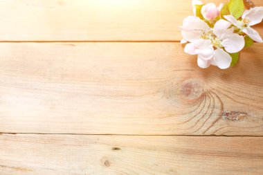 Ahşap bir arka planda beyaz elma çiçekleri ve taç yaprakları. Eko-stil kavramı, ilkbahar, şefkat, aşk, kadın sağlığı, sauna ve spa tedavisi, yazın düğün. Mesaj için yer var. Düz Yatay