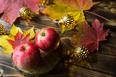 Ahşap bir masada pembe olgun elmalar ve düşmüş sarı ve kırmızı akçaağaç yaprakları. Çelenk ışıkları, ılık ve rahat sonbahar atmosferi, şükran günü, hasat festivali. Boşluğu kopyala
