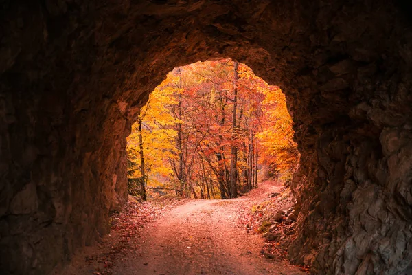 Kamene Vytesán Tunel Červená Sunset Otevření Podzim Listí — Stock fotografie