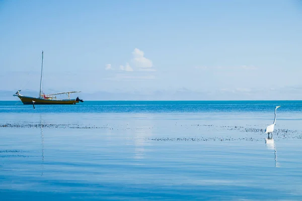 카리브해 얕은에 — 스톡 사진