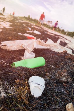 Plastik şişe kirliliği ve yosunlar Sandy Beach