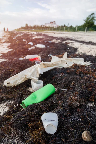 Bouteilles Plastique Pollution Algues Sur Sandy Beach — Photo