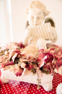 Melek kurutulmuş Bordo ortanca çiçek dekorasyon