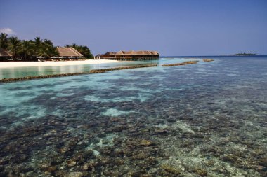 Maldivlere Island Resort berrak suları ve Pasifik okyanus resif