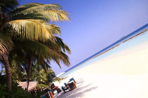 Maldivian Island Resort Océan Pacifique Arrière Plan — Photo