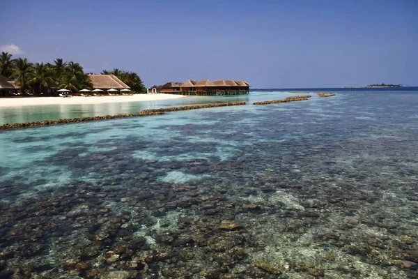 Maldivian Island Resort Acque Limpide Barriera Corallina Dell Oceano Pacifico — Foto Stock