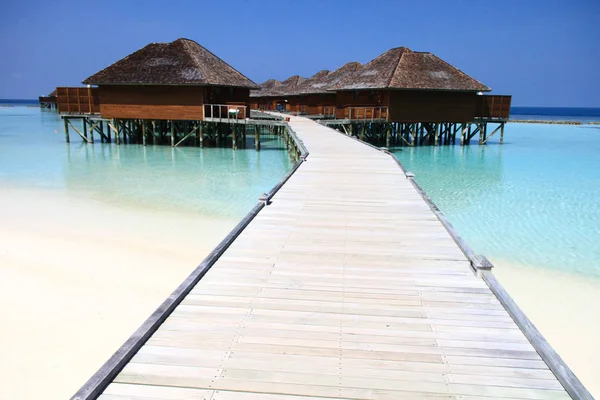 Trä Piren Leder Till Maldiverna Overwater Bungalows Stilla Havet — Stockfoto