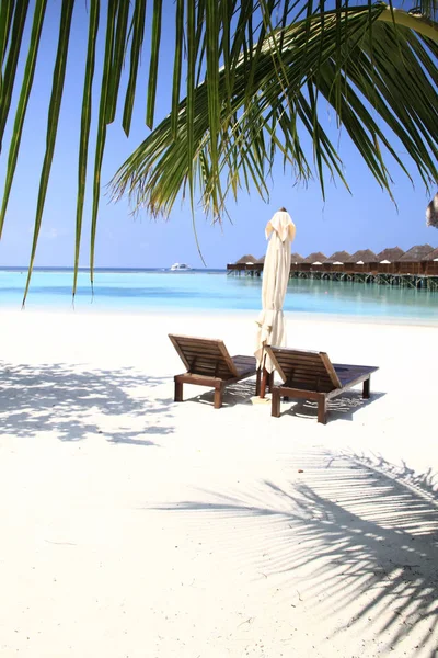 Maldív Szigetek Island Resort Fehér Homokos Strand Tornaterem Bungalow — Stock Fotó