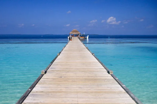 Molo Legno Maldives Island Resort Acqua Turchese Dell Oceano Pacifico — Foto Stock